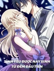 Tình Yêu Được Nảy Sinh Từ Đêm Đầu Tiên (Có Kết Hôn)